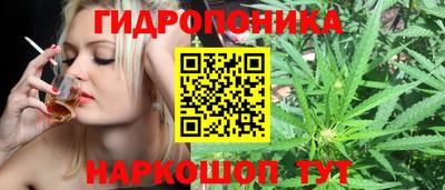 метадон Гусев