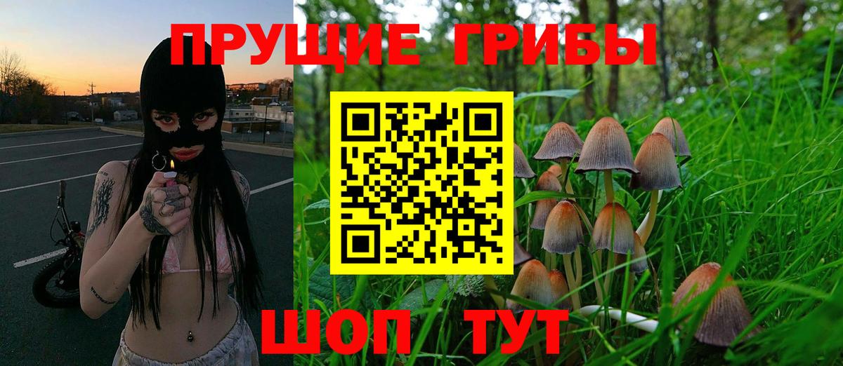Галлюциногенные грибы Psilocybine cubensis  Вход с VPN  Майкоп  Псилоцибиновые грибы GOLDEN TEACHER 