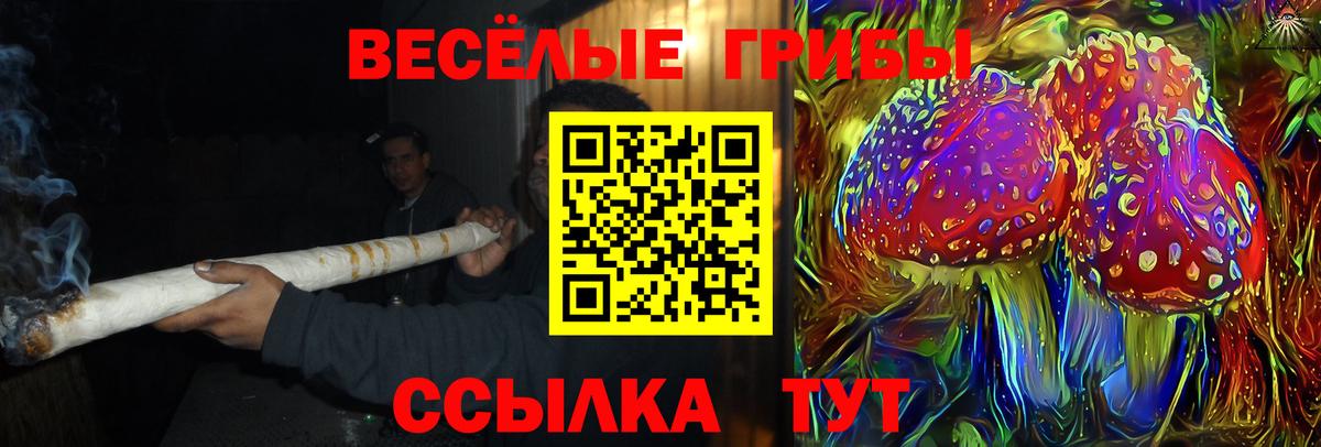 Галлюциногенные грибы прущие грибы Майкоп